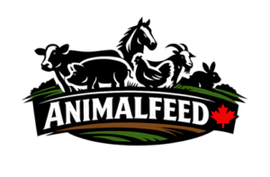 Animal Feed